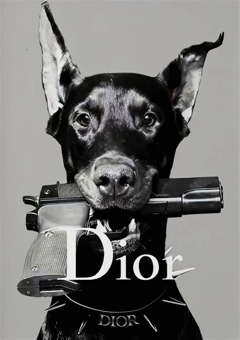 dior dog gun|Dior dog accessories.